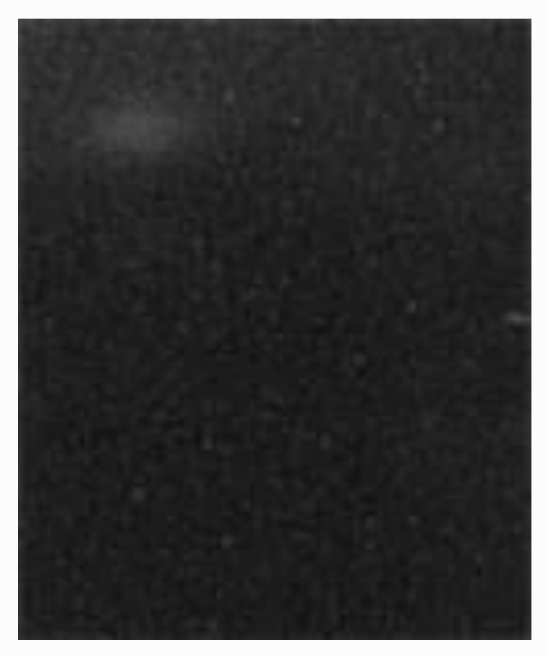 capture_d_e_cran_le_2022-03-14_a_12.15.00_1.png